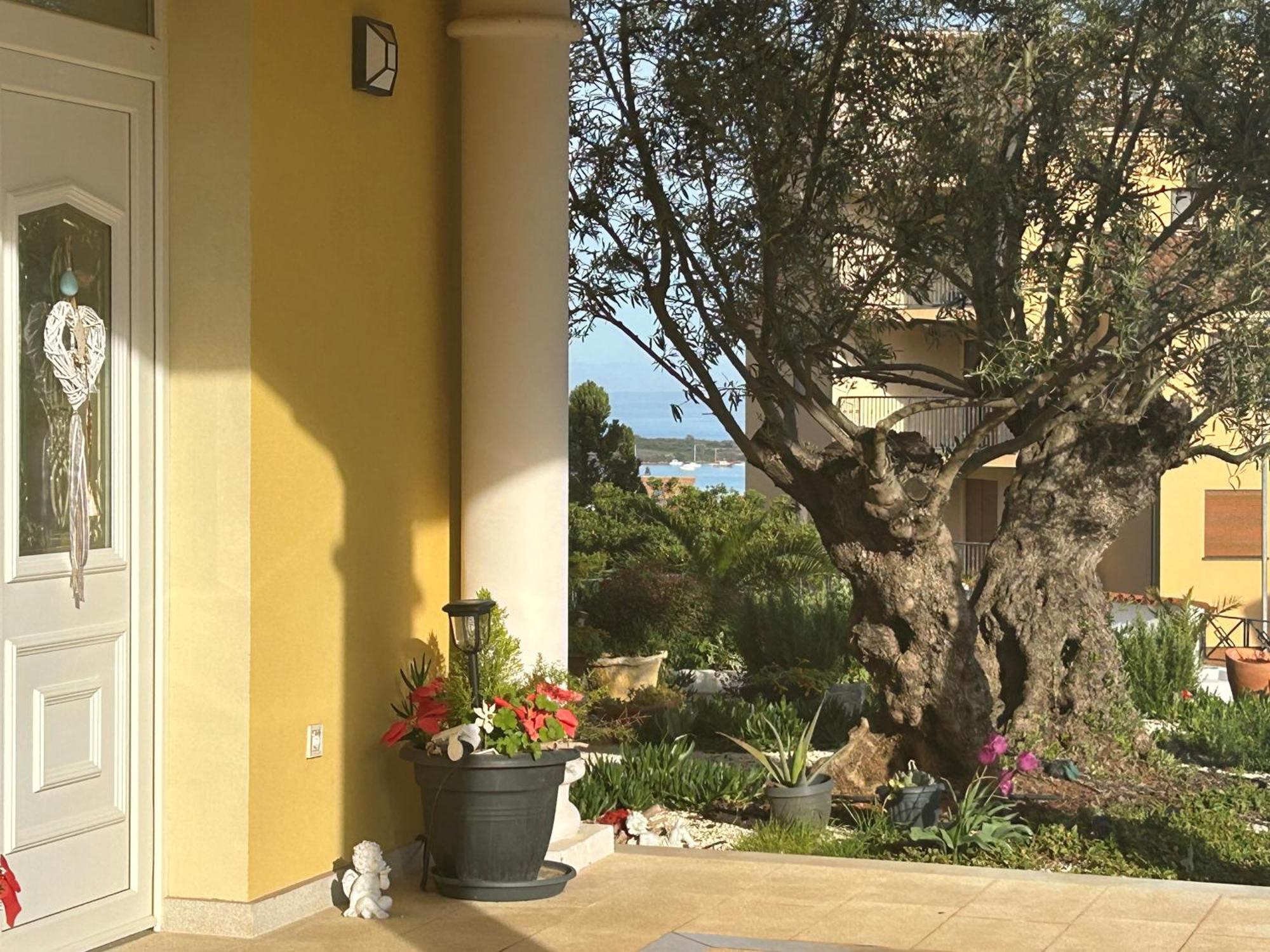 Villa Istriana Ližnjan Εξωτερικό φωτογραφία